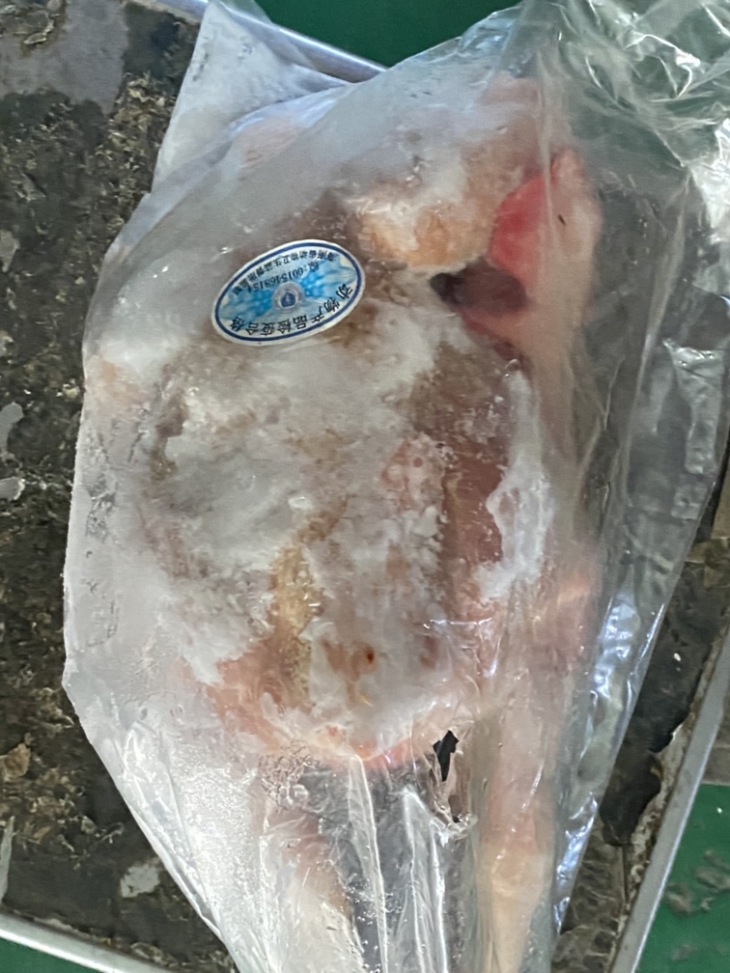 老公鸡、土鸡，价格合适，晚了拍大腿