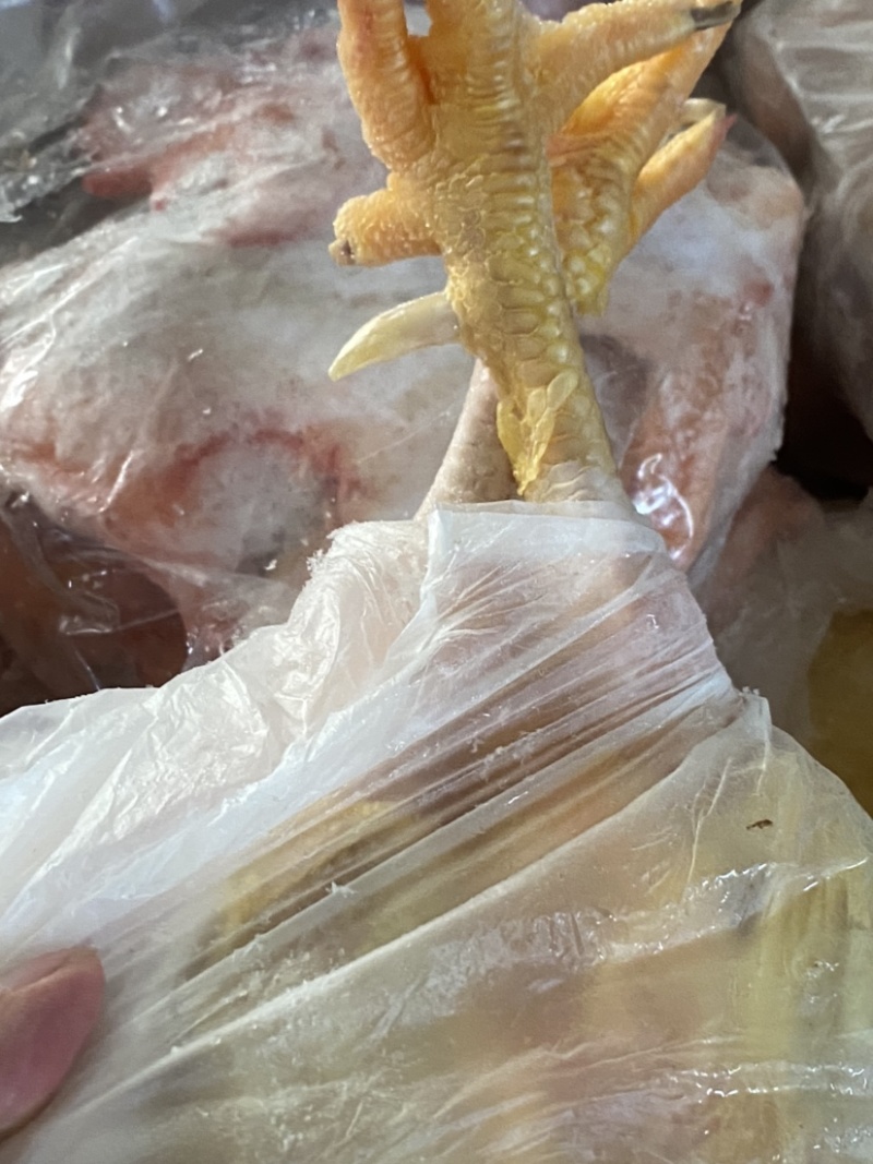 老公鸡、土鸡，价格合适，晚了拍大腿