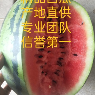 河南商丘西瓜，产地直供