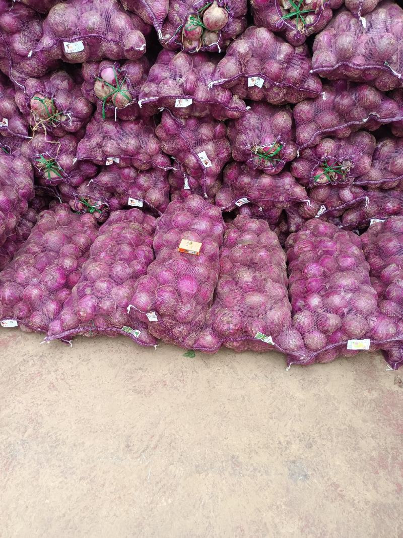 红皮洋葱，产地直供电商，超市，大量货源，基地直供，