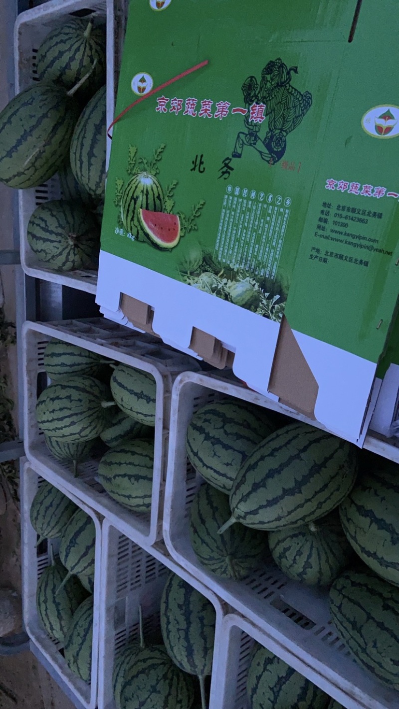 北京市顺义区北务镇吊瓜L600上市，量大优惠