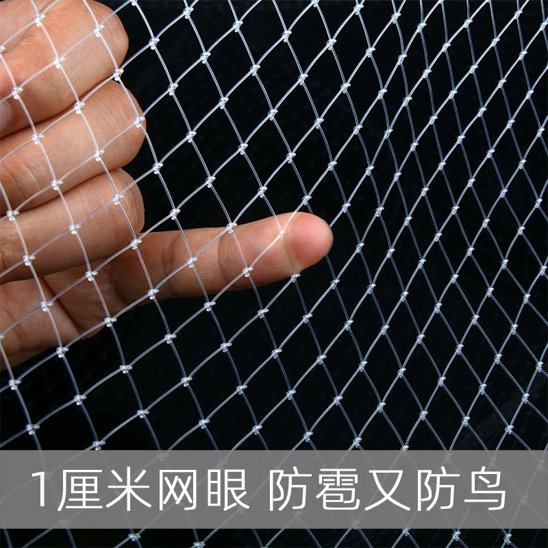 防鸟网尼龙网使用寿命长一斤55到60平方果园鱼塘专用