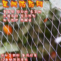防鸟网尼龙网使用寿命长一斤55到60平方果园鱼塘专用