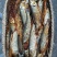 马口鱼干