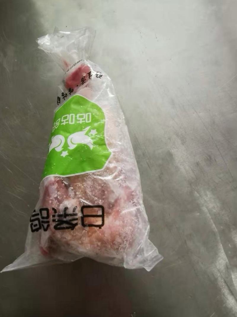 白条鸽，新品上市，口感新鲜，欢迎老板前来采购！
