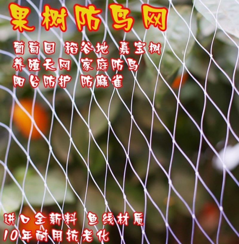 防鸟网养鸡网尼龙网家禽养殖顶网山鸡网果园天网