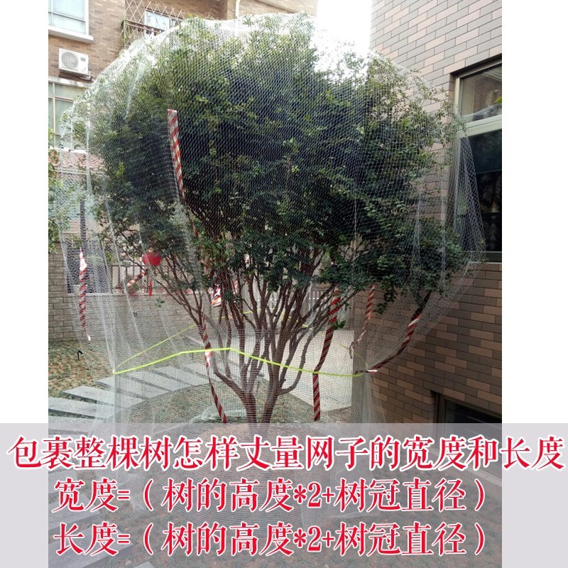 防鸟网养鸡网尼龙网家禽养殖顶网山鸡网果园天网