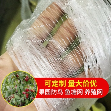 防鸟网养鸡网尼龙网家禽养殖顶网山鸡网果园天网