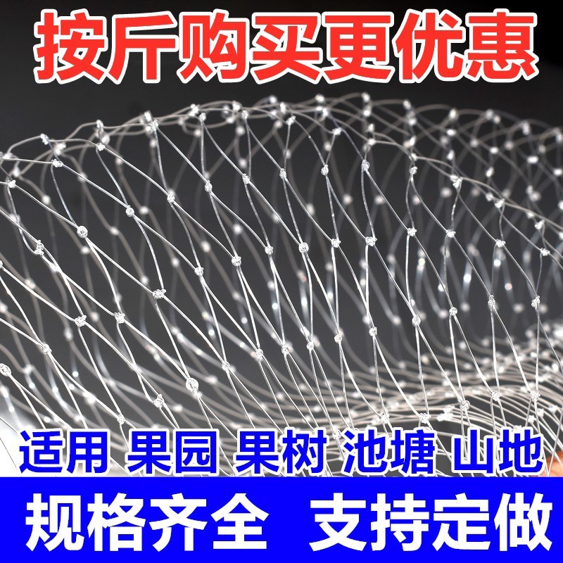 防鸟网养鸡网尼龙网家禽养殖顶网山鸡网果园天网