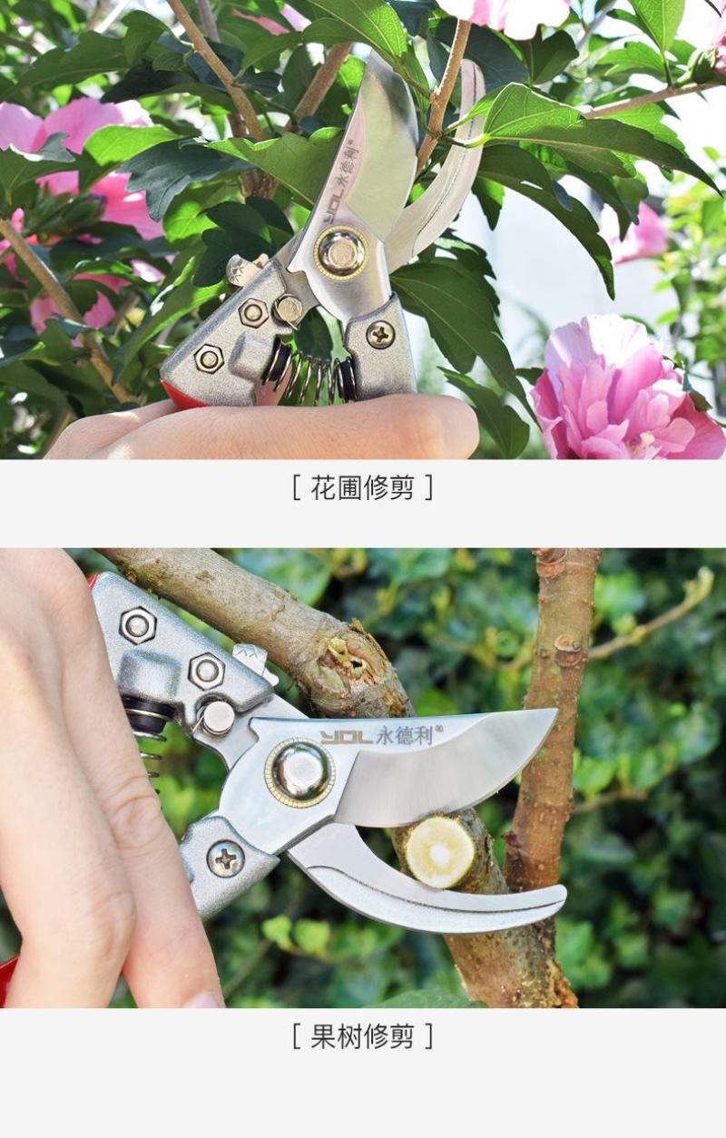 永德利修枝剪刀园艺工具果树花艺修剪树枝园林剪刀省力枝条摘