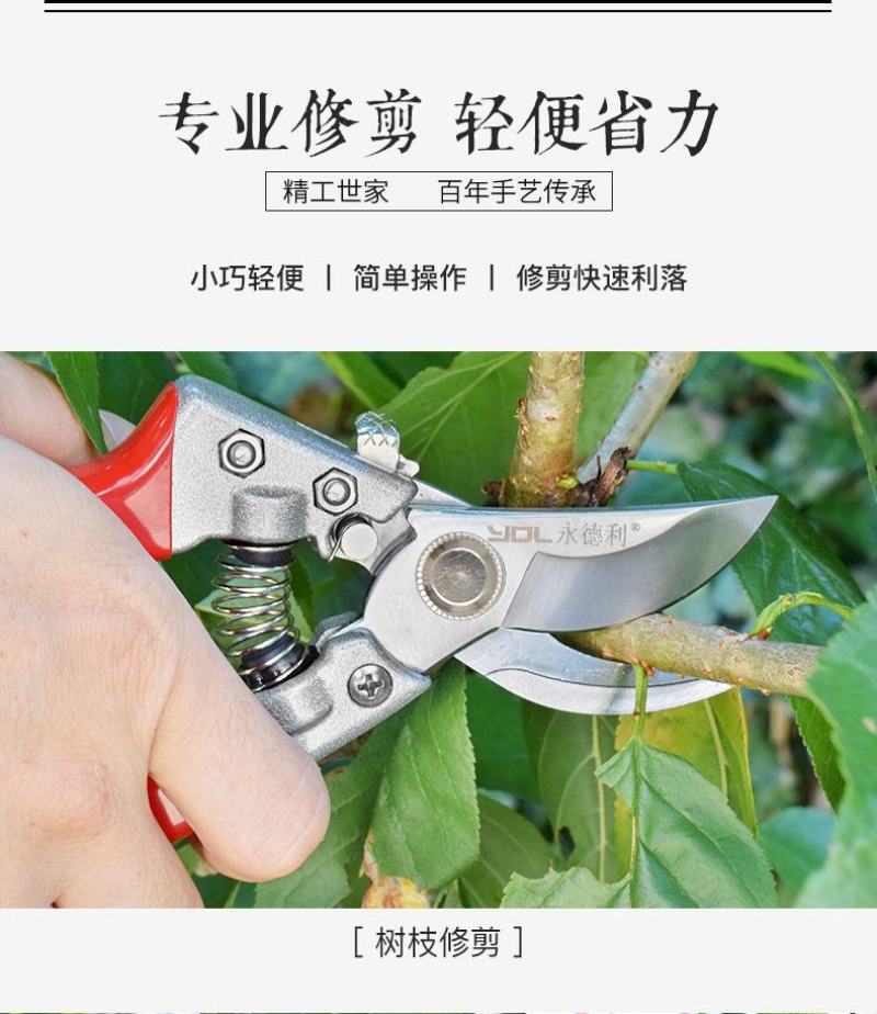 永德利修枝剪刀园艺工具果树花艺修剪树枝园林剪刀省力枝条摘