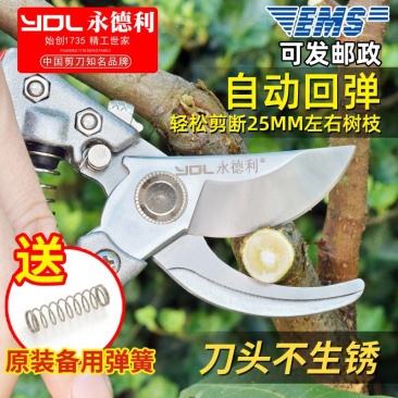 永德利修枝剪刀园艺工具果树花艺修剪树枝园林剪刀省力枝条摘