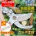 永德利修枝剪刀园艺工具果树花艺修剪树枝园林剪刀省力枝条摘