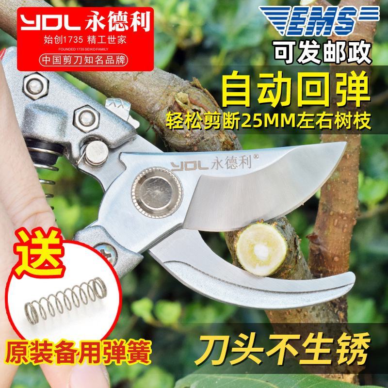 永德利修枝剪刀园艺工具果树花艺修剪树枝园林剪刀省力枝条摘