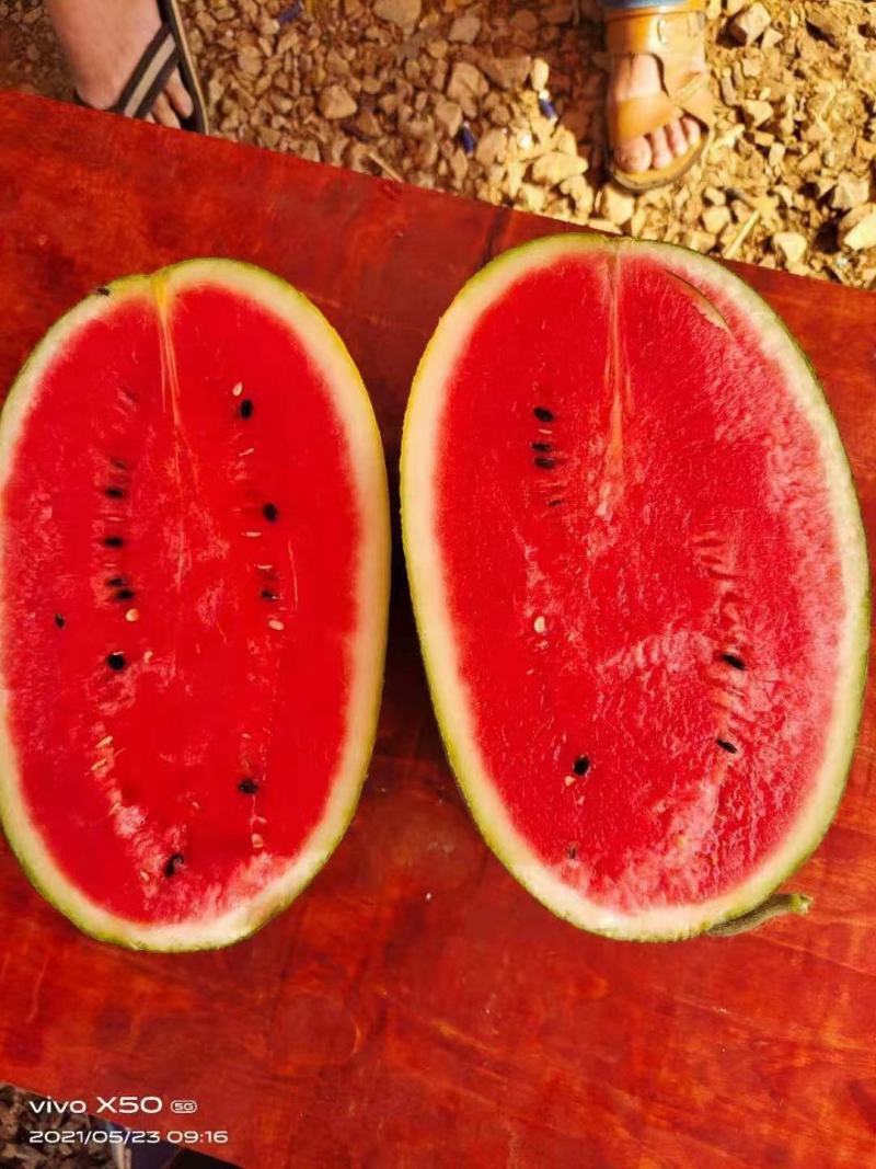 黑美人精品货大量有货供应保质保量欢迎大家咨询，大红镶，