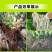 矿源黄腐酸钾/活化土壤/提高肥效/激活根动力抗重茬