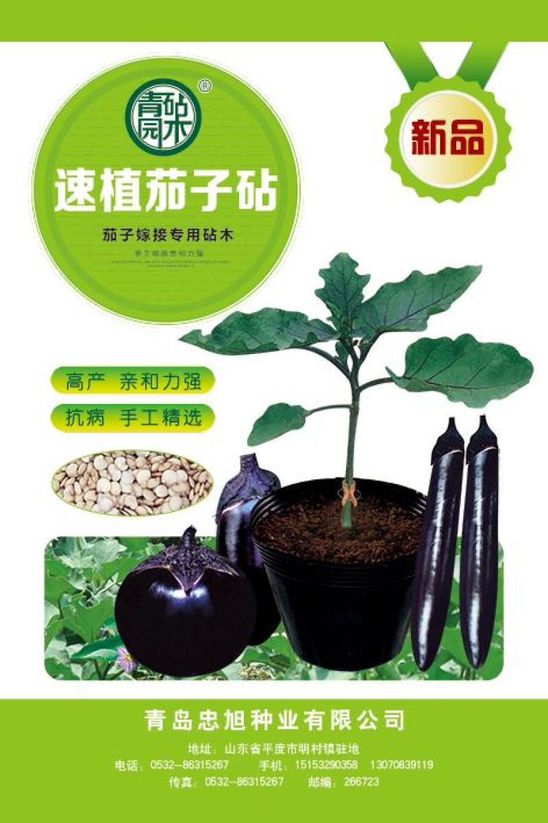 嫁接茄子砧茄子嫁接砧木种子茄子砧木种子茄子专用砧木