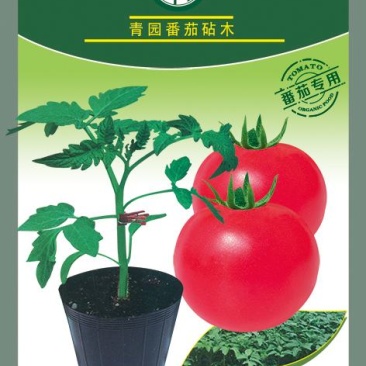 番茄砧木嫁接番茄砧木抗病能力强商品质量好抗青枯病