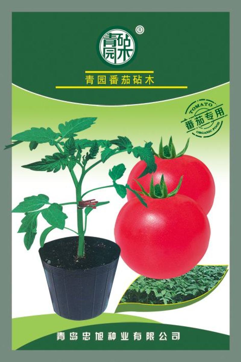 番茄砧木嫁接番茄砧木抗病能力强商品质量好抗青枯病