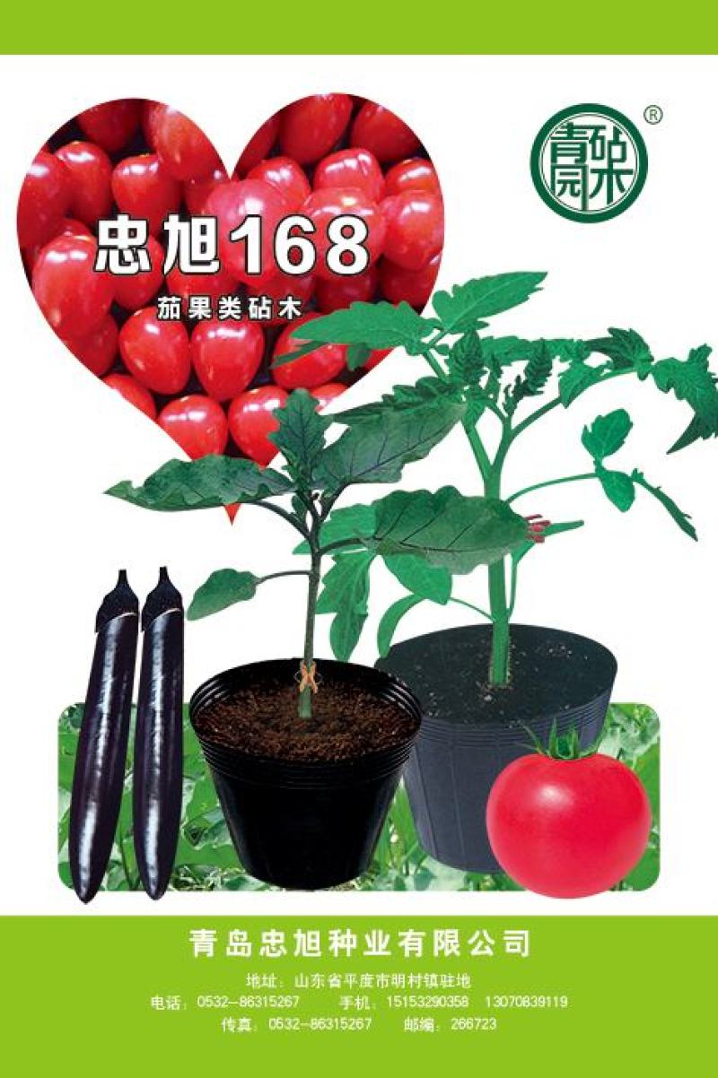 【推荐】嫁接番茄砧木嫁接砧木种子大果番茄砧木高抗根结线