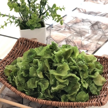 脱水蔬菜莴笋干20斤/件批发商用特色菜系列嘎嘣脆
