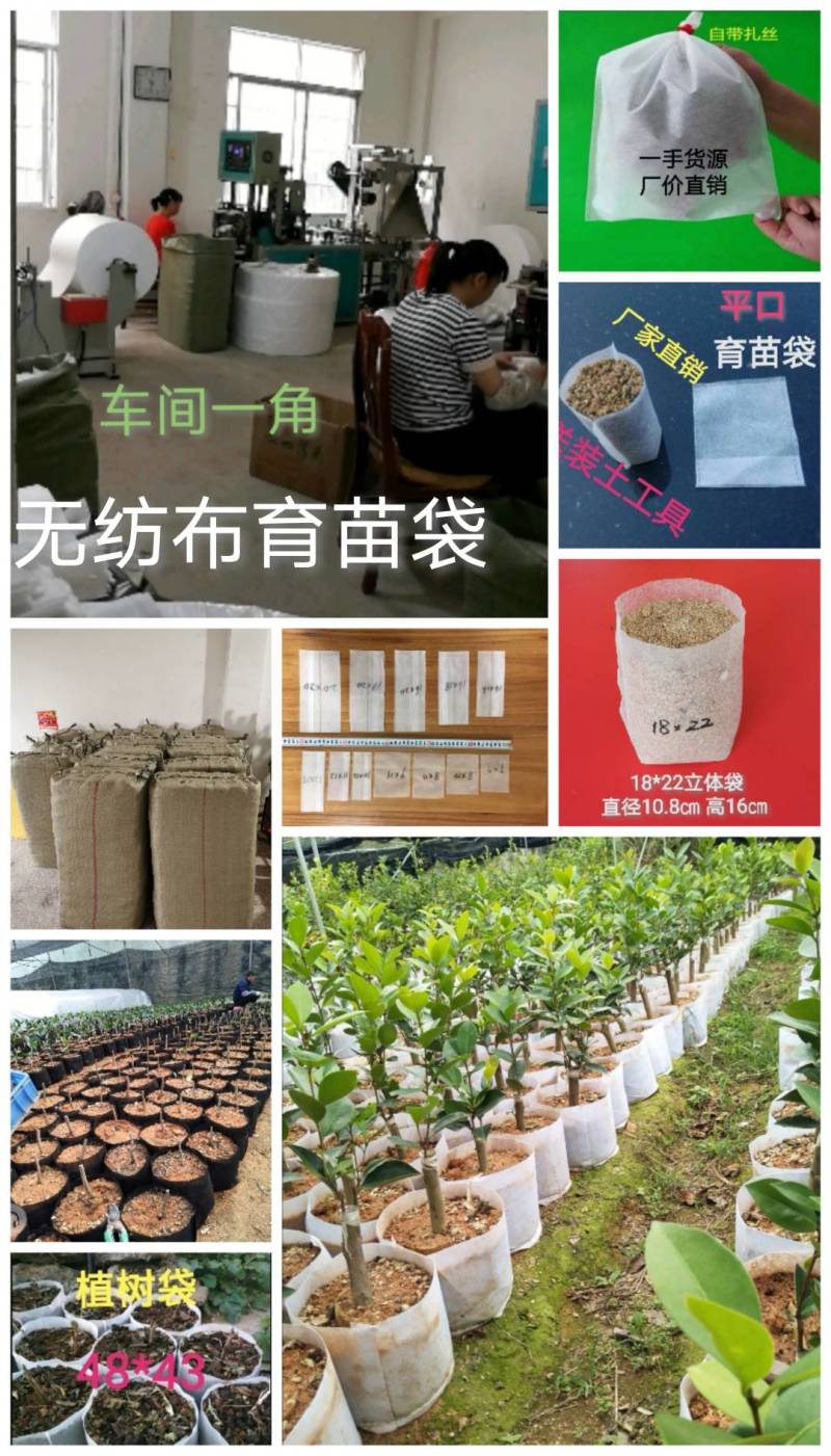 长丝无纺布育苗袋营养袋一次性可降解育苗容器杯保质包量包邮