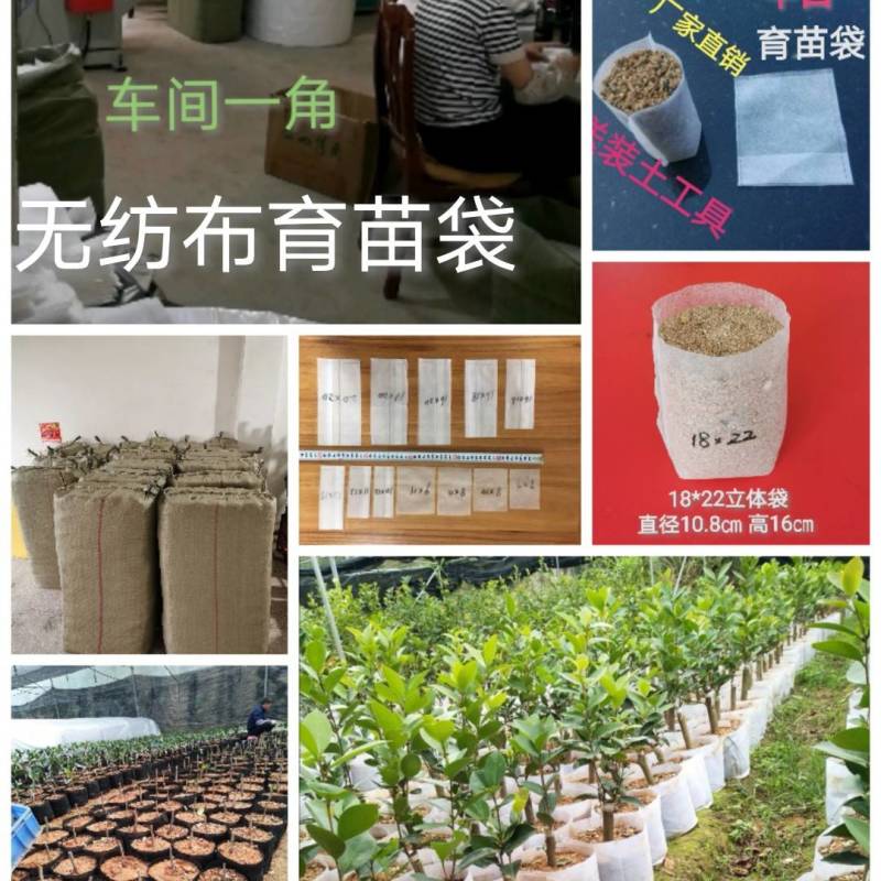 无纺布育苗袋营养袋果蔬育苗神器透气透气可降解移栽免脱袋