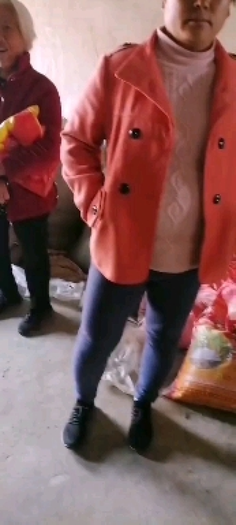 白头翁野生图片实物零售批发产地直发一手货源只剩老苗