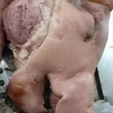 八成熟猪头肉，纯干货量大从优，感兴趣的老板欢迎光临！