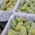 大量水晶葡萄5%以下1~2斤，产地直销，量大价优！