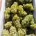 大量水晶葡萄5%以下1~2斤，产地直销，量大价优！