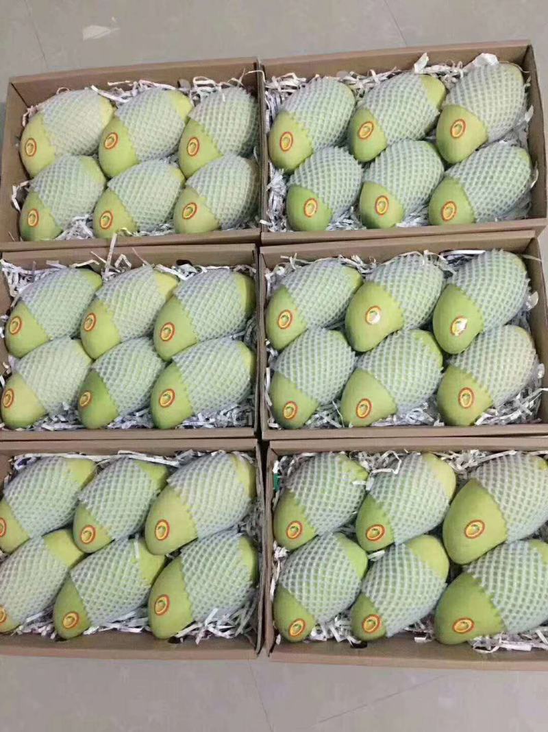 云南热带水果金煌芒大量上市，产地直销货源充足