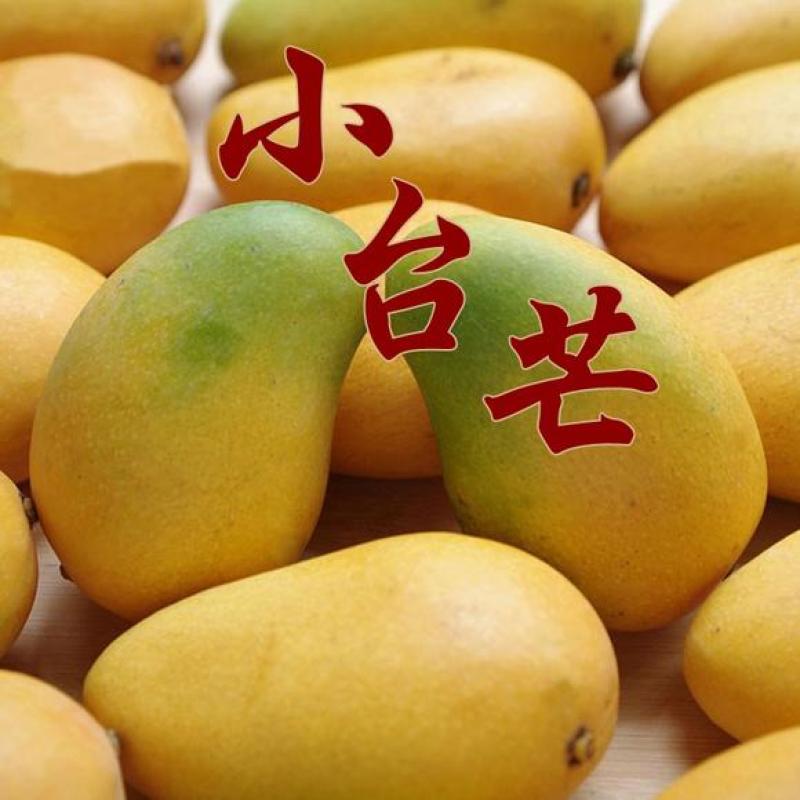 云南热带水果精品台农芒，大量上市产地直销，货源充足