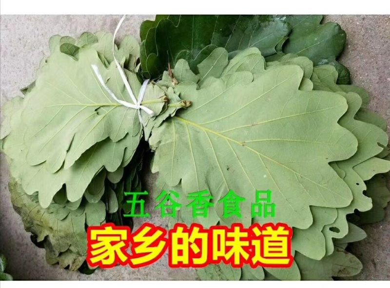 鱼仙河传统工艺纯手工制作槲叶粽子大量供应