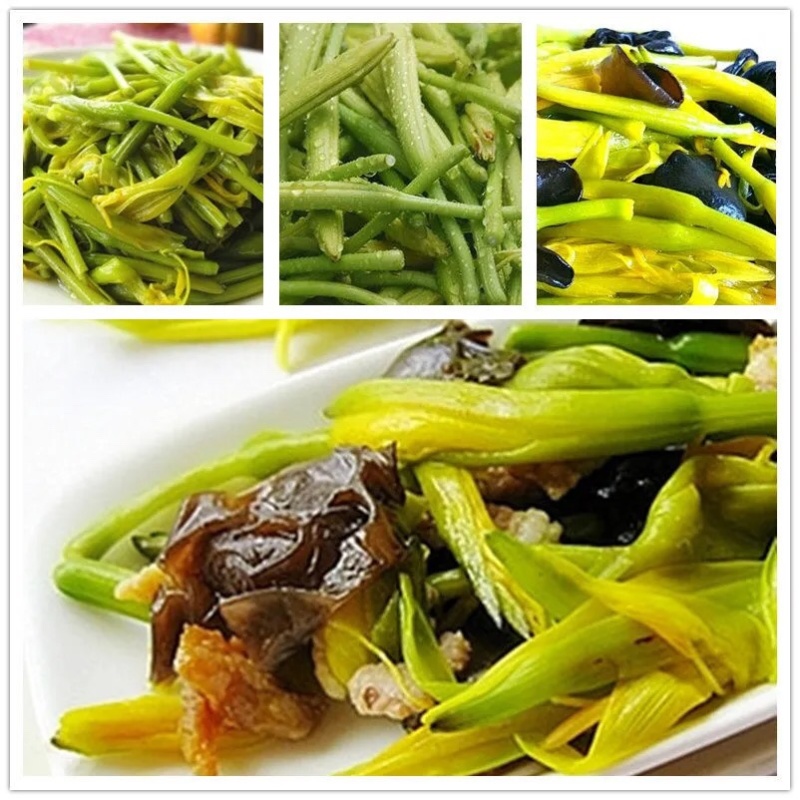 新鲜黄花菜即将上市