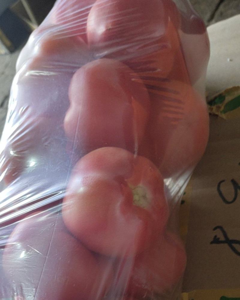 山东西红柿，精品硬粉西红柿，大量上市，货源充足，价格便宜