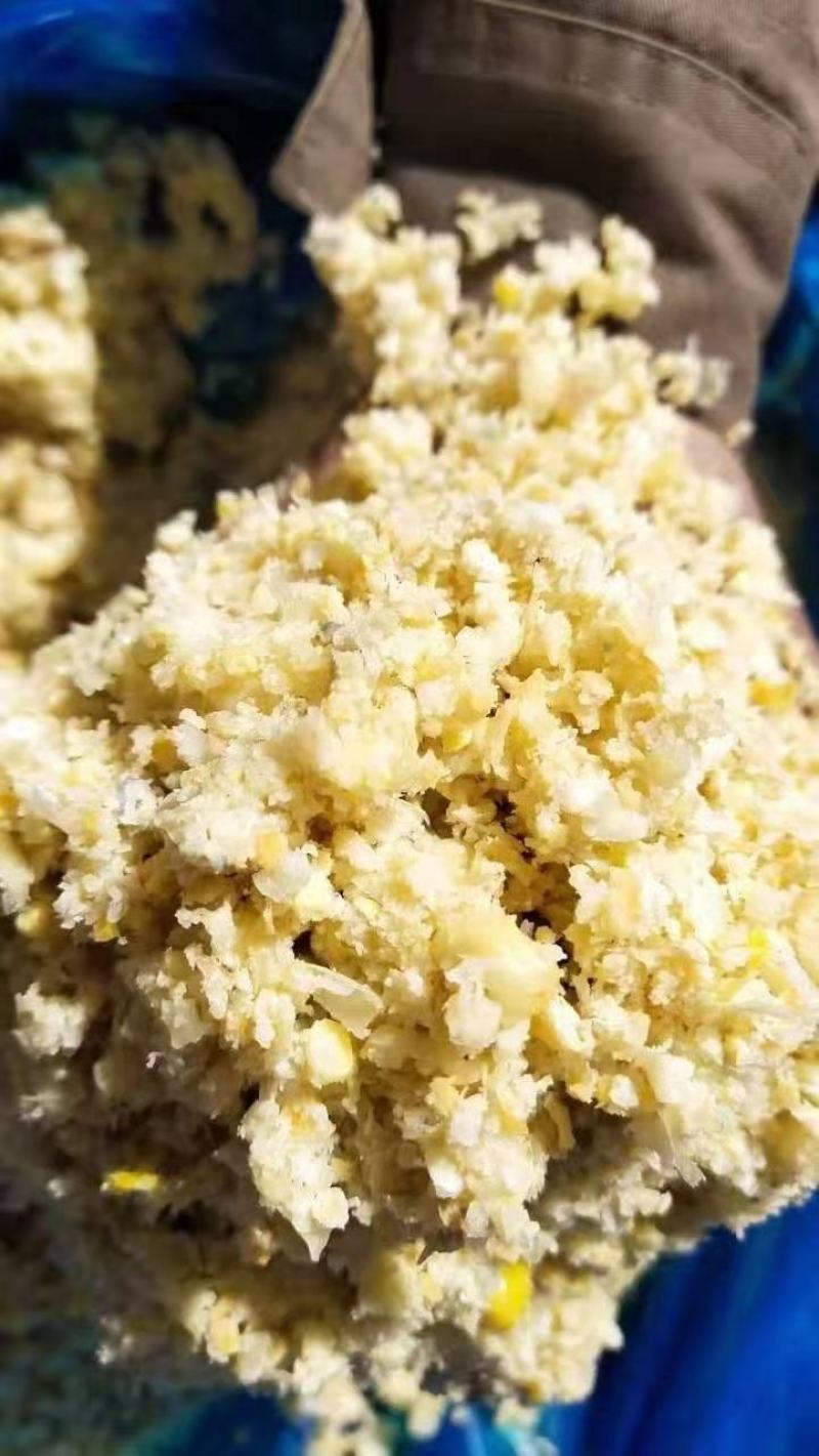 熟玉米，节约成本，猪牛羊，鸡鸭鹅。