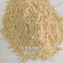 合同价出售【大豆胚芽粉】蛋白45合同价出售【大豆胚芽粉】