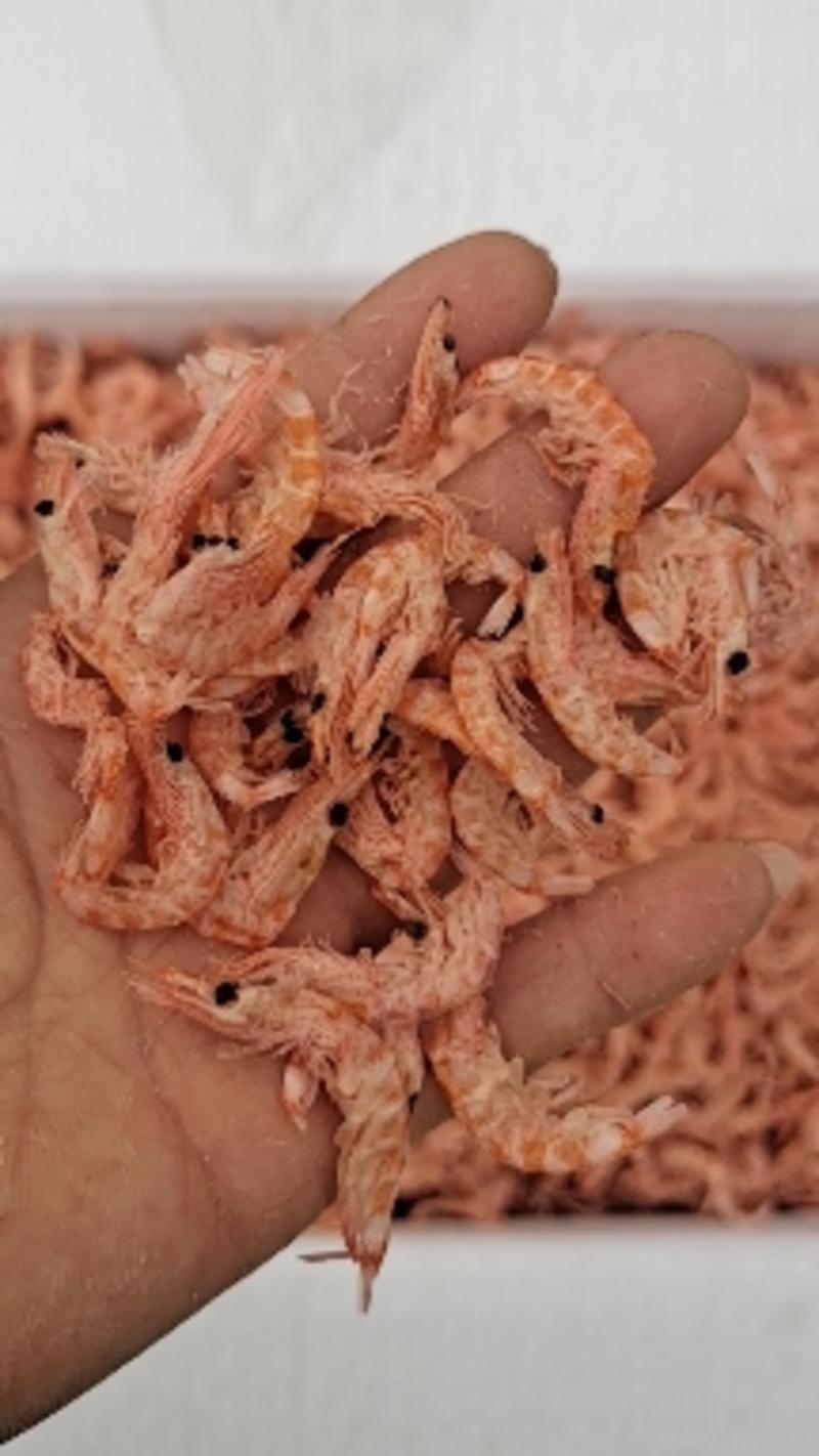 山东大板无盐磷虾仁海米肉干去头去尾壳一手货源大量现货供应