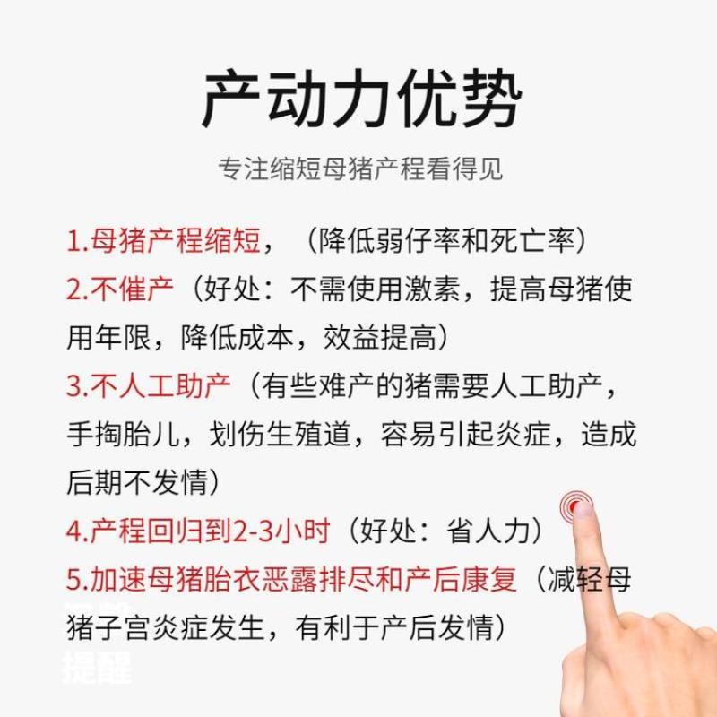 母猪饲料：母猪难产怎么办？产动力缩短母猪产程、减少死胎