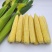 玉米笋新鲜现摘小玉米芯仔迷你甜嫩小玉米蔬菜食材包邮。