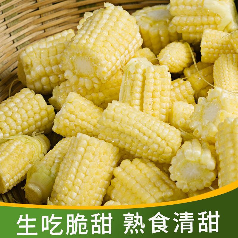 玉米笋新鲜现摘小玉米芯仔迷你甜嫩小玉米蔬菜食材包邮。