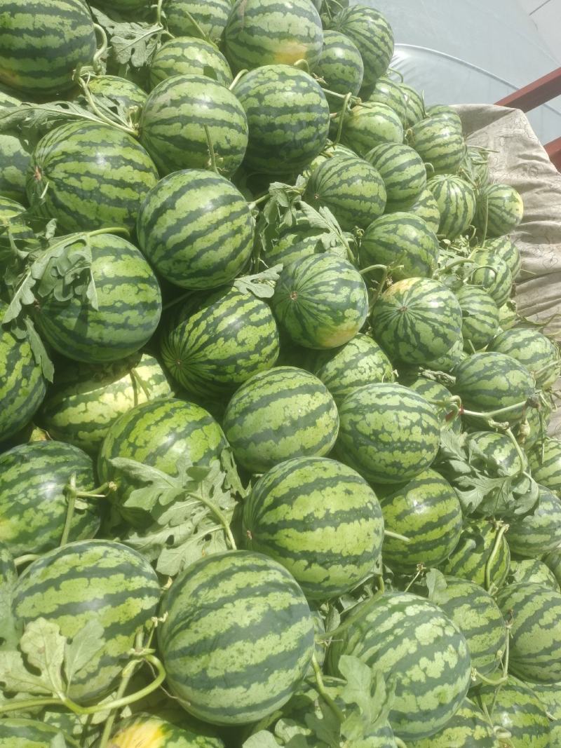 头茬精品美都西瓜口感好，糖度高品质好！