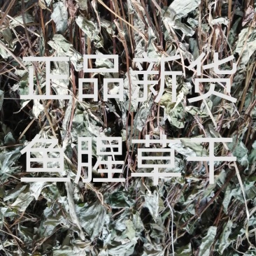 农村纯野生，自然晒干，无硫色泽纯正，泡茶，药用鱼腥草干