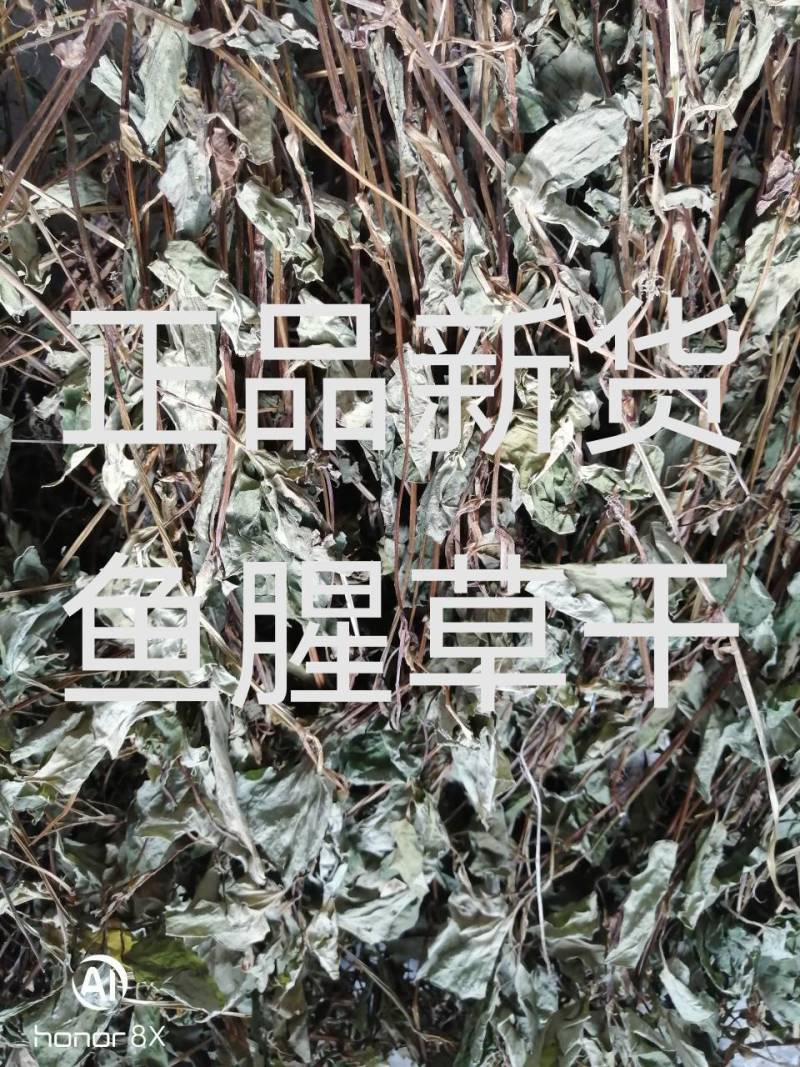 农村纯野生，自然晒干，无硫色泽纯正，泡茶，药用鱼腥草干