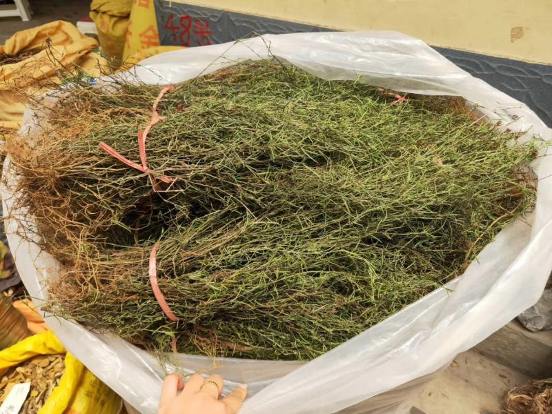 精选百花蛇舌草干乌骨蛇舌草纯绿干净无杂质