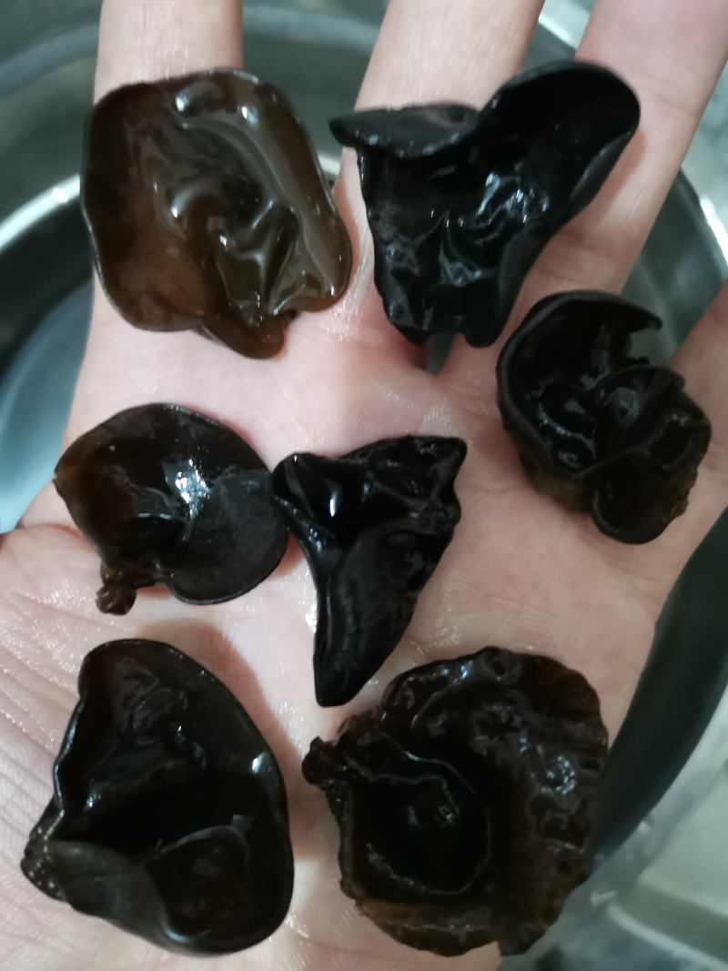 《实物拍摄》优质黑木耳，电商、展销会、跑江湖畅销产品