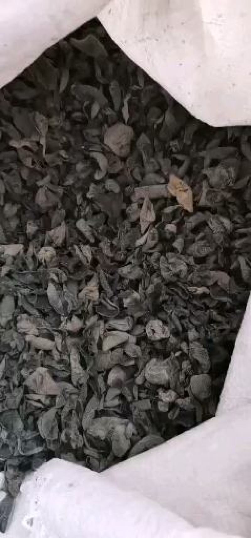 《实物拍摄》优质黑木耳，电商、展销会、跑江湖畅销产品