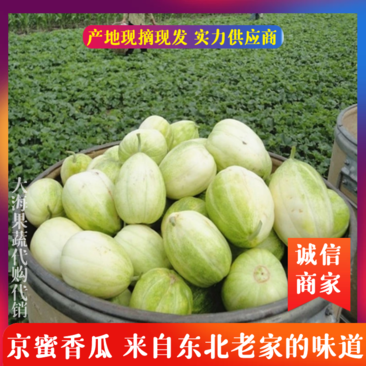 辽宁北镇京蜜香瓜，精品甜瓜，口感甜，大量上市，价格便宜