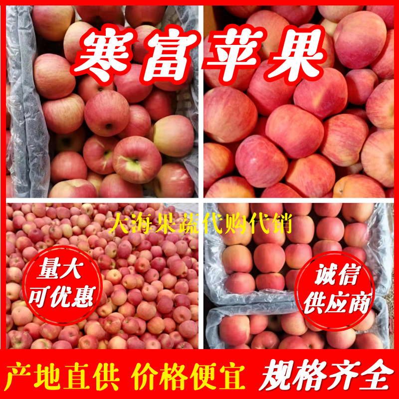 辽宁苹果北镇寒富苹果产地直供规格齐全价格便宜